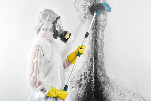Best Post-Remediation Verification Testing  in Watervliet, NY