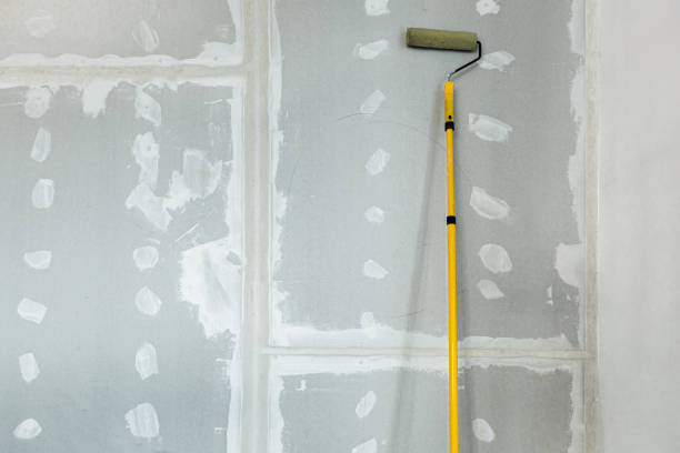 Best Industrial Mold Remediation  in Watervliet, NY