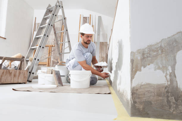 Best Real Estate Mold Inspection  in Watervliet, NY