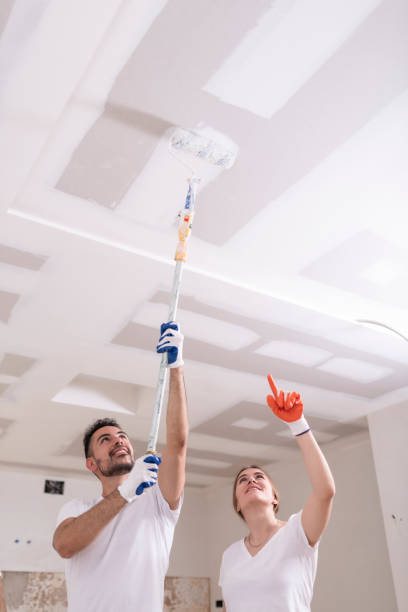 Best Dehumidification Services  in Watervliet, NY
