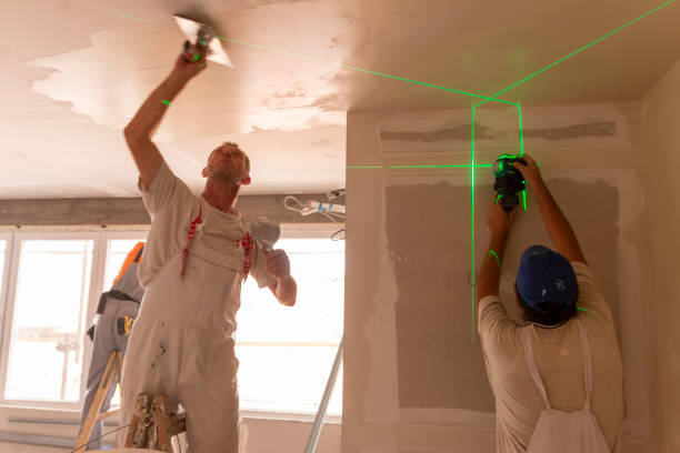 Reliable Watervliet, NY Mold Removal Solutions