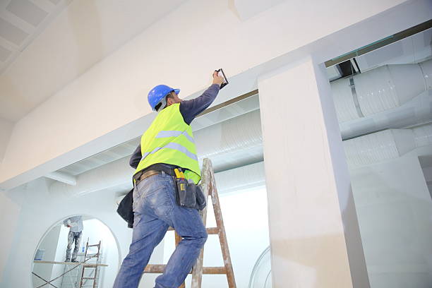 Best Mold Damage Restoration  in Watervliet, NY