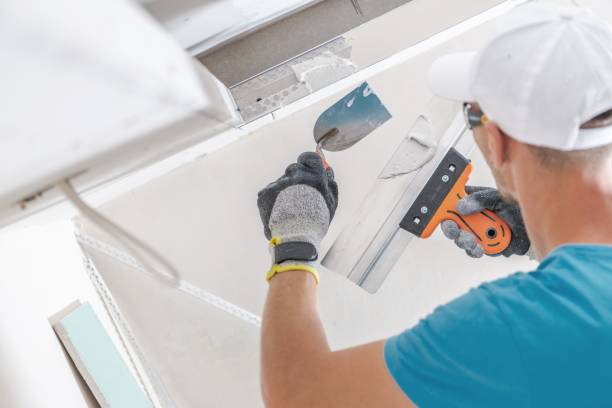 Best Commercial Mold Inspection  in Watervliet, NY